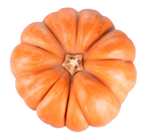 Pumpkin isolated on white — Stock Photo, Image