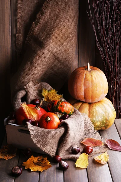 Citrouilles en boîte sur sac — Photo