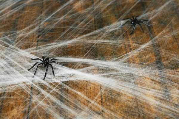 Cobweb com aranha em fundo de madeira — Fotografia de Stock