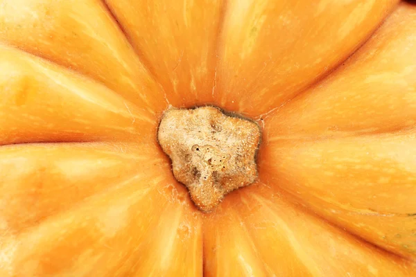 Ripe tasty pumpkin — Stock Photo, Image