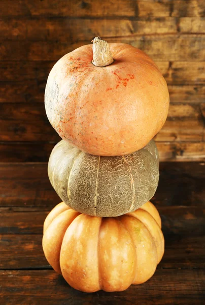 Ripe different pumpkins — Stock Photo, Image