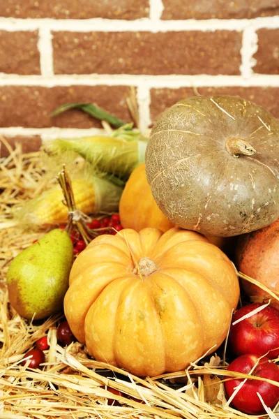 Schöne Herbstkomposition auf Stroh, auf Ziegelmauern Hintergrund — Stockfoto