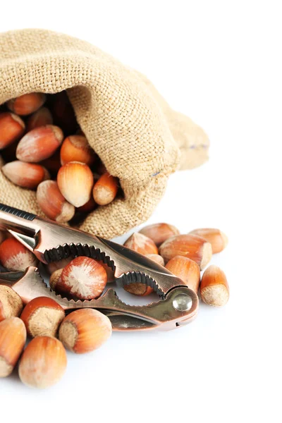 Hazelnuts in bag isolated on white — Stock Photo, Image