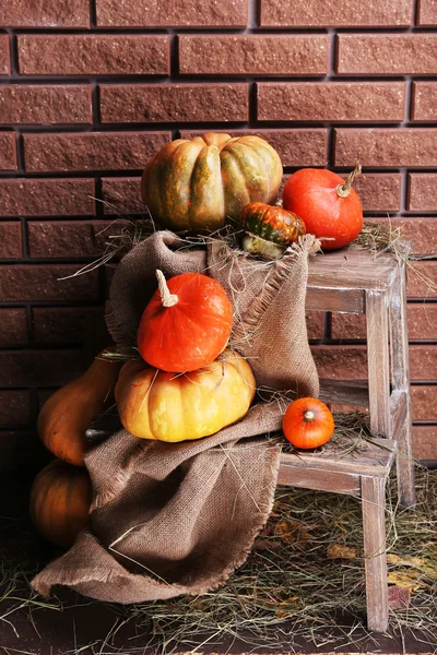 Pumpkins on wooden ladder — Stock Photo, Image