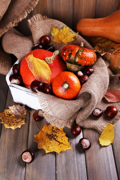 Zucche in scatola su sacco — Foto Stock