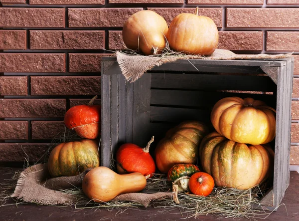 Citrouilles dans une caisse sur le sol — Photo