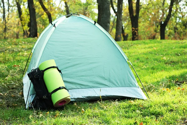 Tienda turística sobre hierba verde en un bosque — Foto de Stock