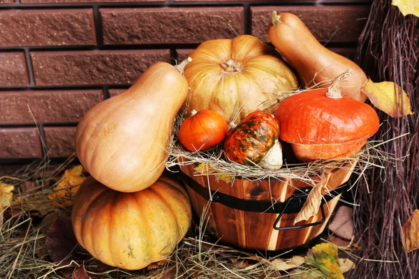 Pompoenen in houten tobbe — Stockfoto