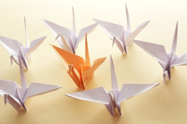 Bireysellik kavramı. Açık renkli origami kuşlar