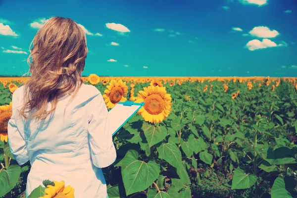 Landbouwingenieur met map in zonnebloemen veld — Stockfoto