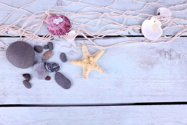 Decor of seashells and seastar close-up on blue wooden table — Stock fotografie