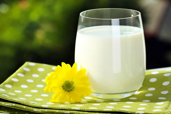 Mjölk i glas på servett på naturliga bakgrund — Stockfoto