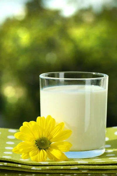 Mléko ve skle na ubrousek na přírodní pozadí — Stock fotografie