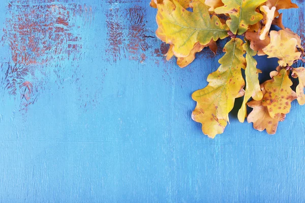 Yellow leaves on blue wooden background — Stock Photo, Image