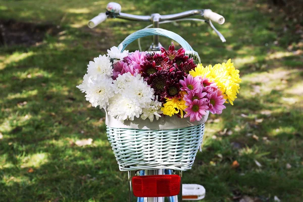 Kerékpár árnyékában fém kosár virág, fű háttér — Stock Fotó