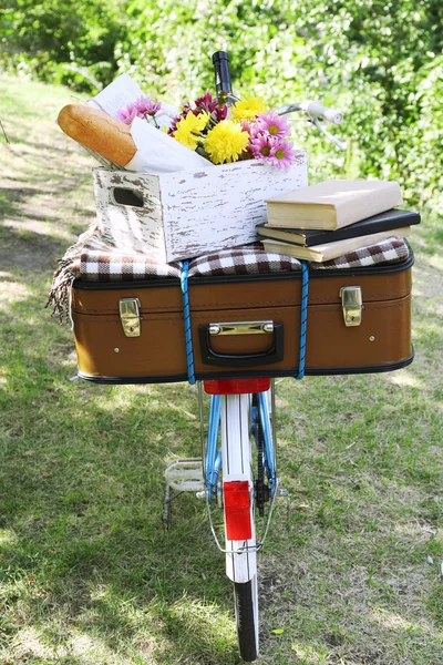 Rower i brązowy walizkę z pikniku ustawić na nim w cieniu w parku — Zdjęcie stockowe