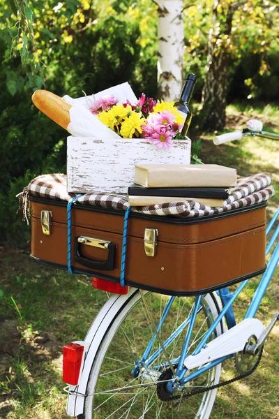 Fahrrad und brauner Koffer mit Picknick darauf im Schatten im Park — Stockfoto