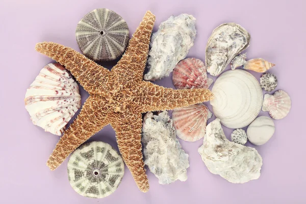 Sea souvenirs on purple background — Stock Photo, Image