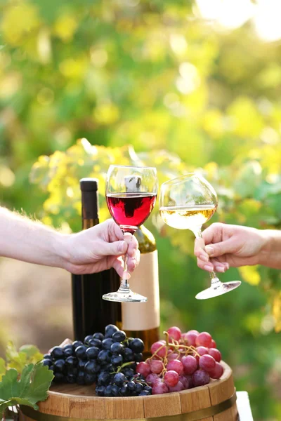 Bicchiere da vino in mano su sfondo piantagione di uva — Foto Stock