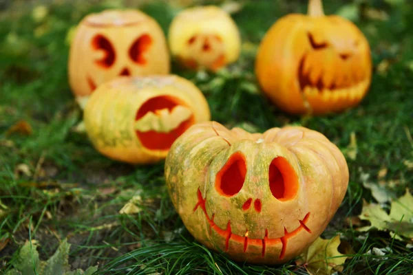 Calabazas para la fiesta de Halloween en el fondo de hierba — Foto de Stock