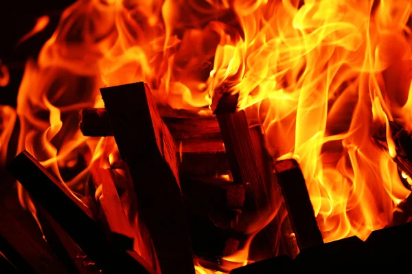 Lagerfeuer — Stockfoto