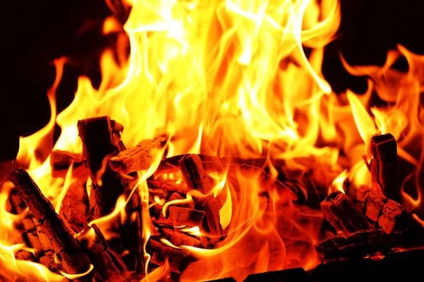 Lagerfeuer — Stockfoto