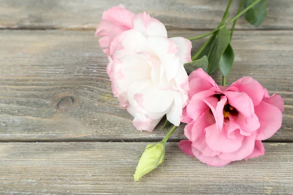 Krásný eustoma květina na dřevěné pozadí — Stock fotografie