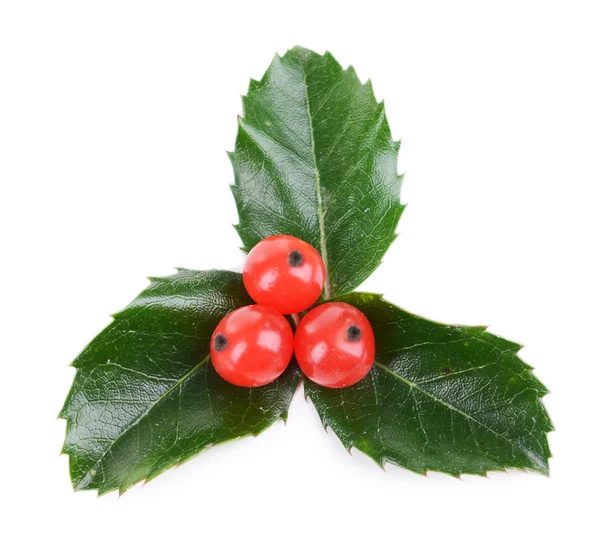 Leaves of mistletoe with berries isolated on white — Stock Photo, Image