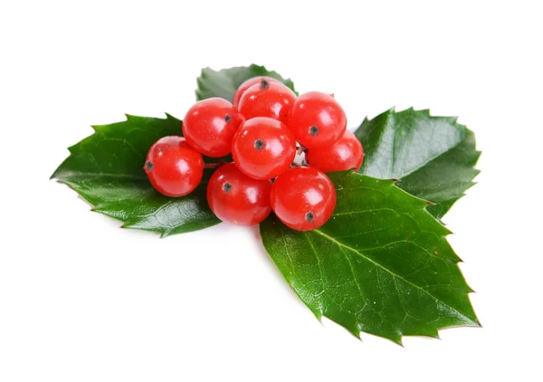 Leaves of mistletoe with berries isolated on white — Stock Photo, Image