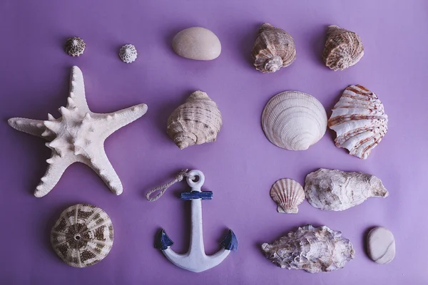 Assorted Sea souvenirs — Stock Photo, Image