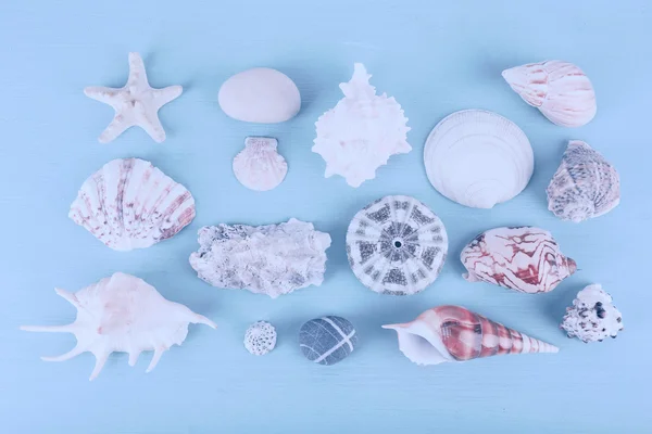 Assorted Sea souvenirs — Stock Photo, Image