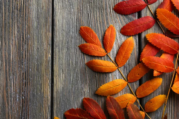 Herbst Blätter auf braunem Holz Hintergrund — Stockfoto