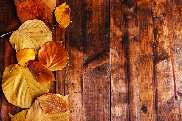 Feuilles jaunes sur fond bois brun — Photo