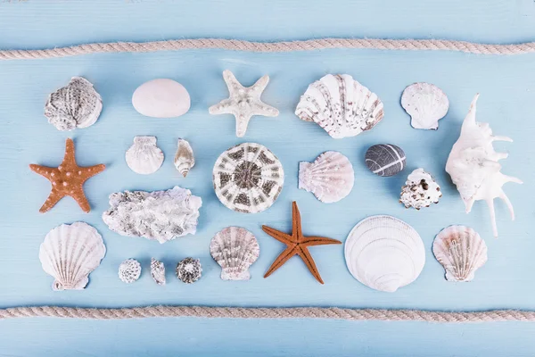 Sea souvenirs on light blue background — Stock Photo, Image