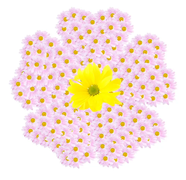 Květina silueta izolované na bílém — Stock fotografie