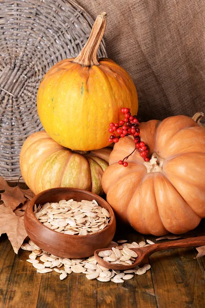 Citrouilles et graines dans un bol — Photo