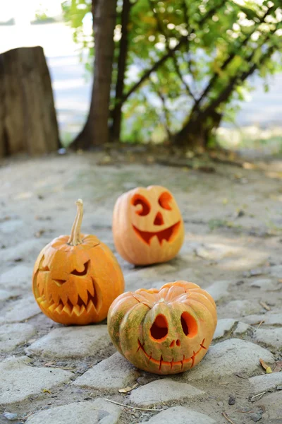 Pompoenen voor vakantie Halloween — Stockfoto