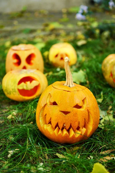 Pompoenen voor vakantie Halloween — Stockfoto