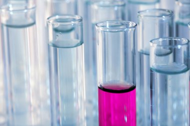 Test tüpleri yakın çekim