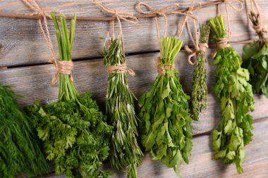 Ahşap arka plan üzerinde farklı taze otlar