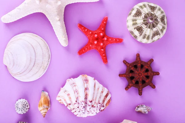 Deniz Hatıra Eşyası mor zemin üzerine