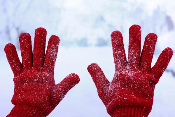 Las manos de mujer en guantes rojos sobre fondo natural de invierno — Foto de Stock
