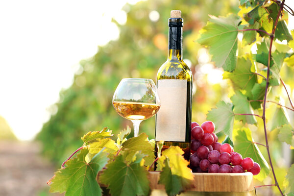 Tasty wine on wooden barrel on grape plantation background