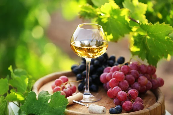 Verre et raisin sur tonneau en bois sur fond de plantation de raisin — Photo