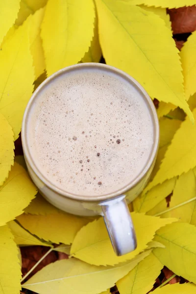 Lezzetli sıcak içecek fincan