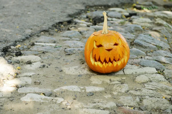 Pumpkins for holiday Halloween