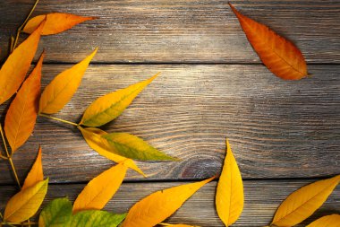 Sonbahar yaprakları kahverengi zemin üzerine