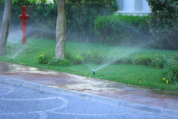 Automatic sprinklers watering grass — Stock Photo, Image
