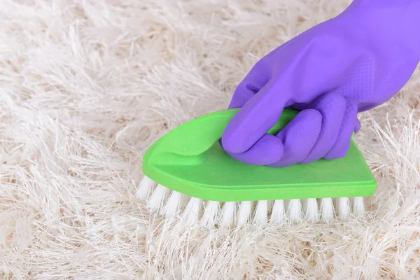 Cleaning carpet with brush — Stock Photo, Image