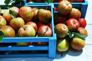 Sulu elma kutusunda, yakın çekim